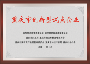 创新型试点企业