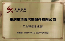 专精特新小巨人